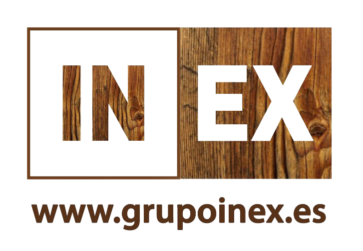 Grupo INEX